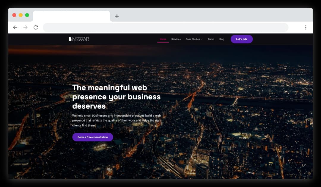 Screenshot of the Binswar LLC website